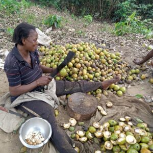 a woman processing bush mango locally 